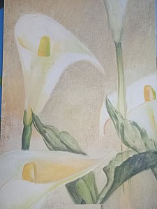 IMG_20260327_172027495_MFNR.jpg: 493x656, 63k (31 mars 2026 à 22h44)