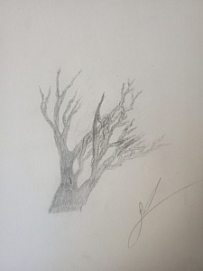 IMG_20260327_174415985_MFNR.jpg: 493x656, 34k (29 mars 2026 à 10h03)